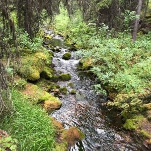 Meet your Posher, Natashia